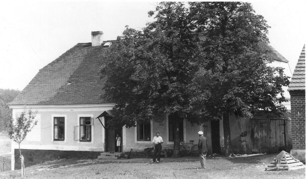 Obrázek